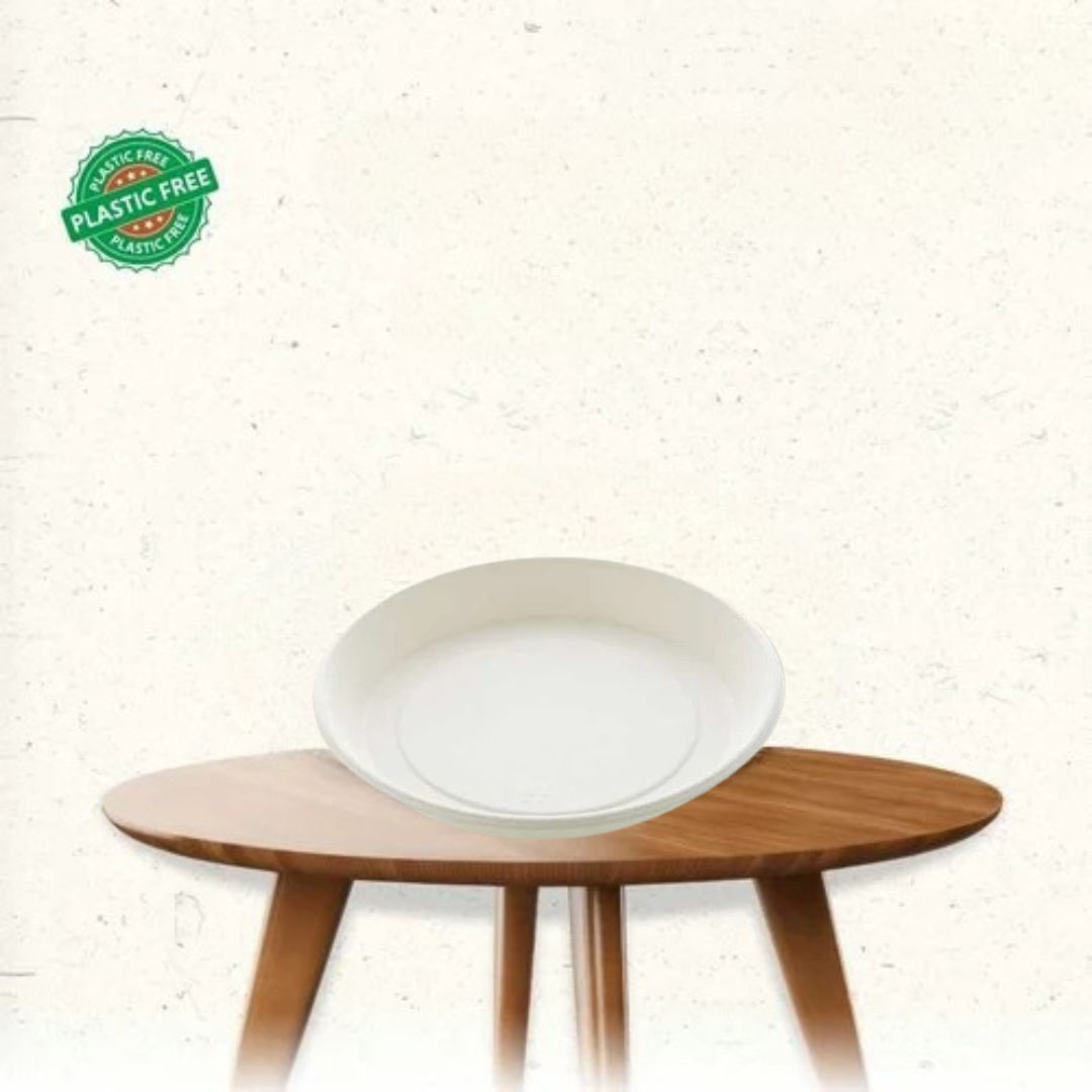 9 Inch Depth Plate Bagasse